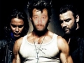 wolverine